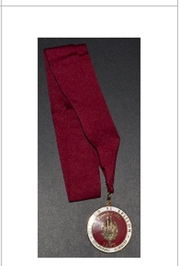 An Upsilon Pi Epsilon medallion on a maroon neck band.